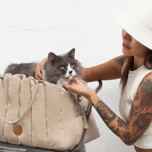 Moral CHAPEL寵物床奶油白色款,寬敞床體讓貓咪舒適躺臥。柔軟材質與品牌皮標,展現高質感設計。